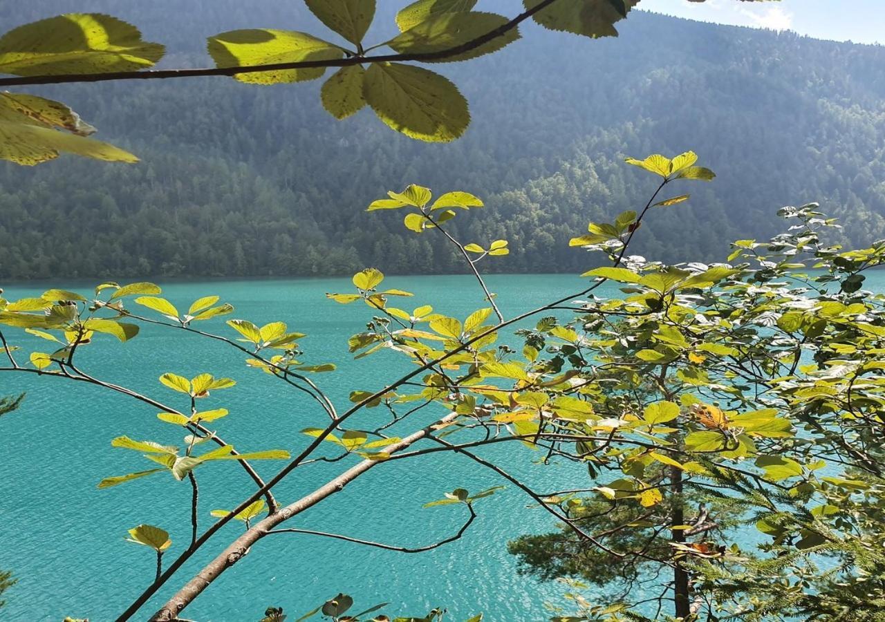 Haus Kraller-Urlaub Mit Seeblick Millstatt Ngoại thất bức ảnh