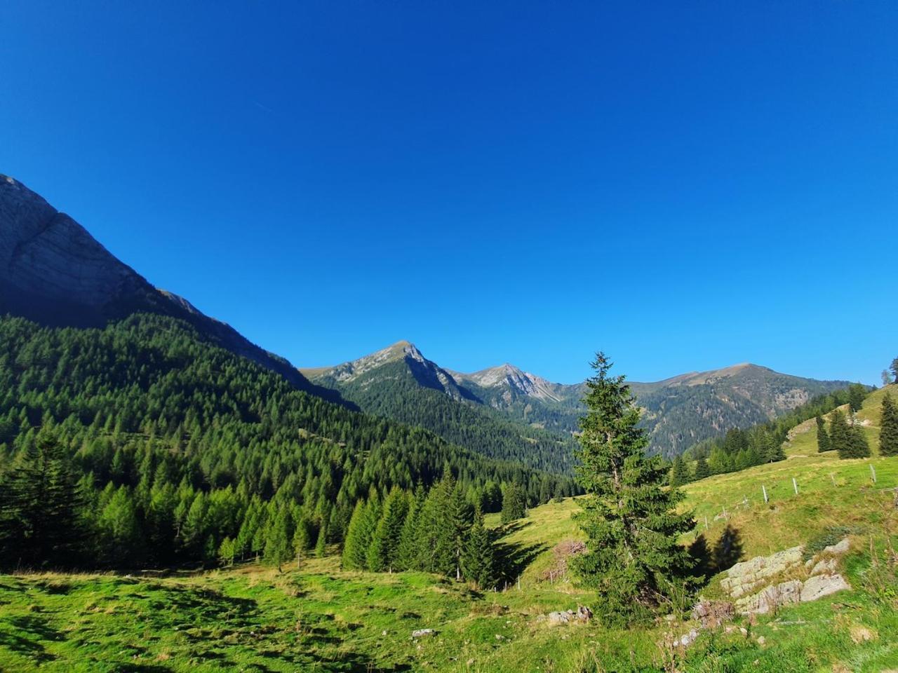 Haus Kraller-Urlaub Mit Seeblick Millstatt Ngoại thất bức ảnh